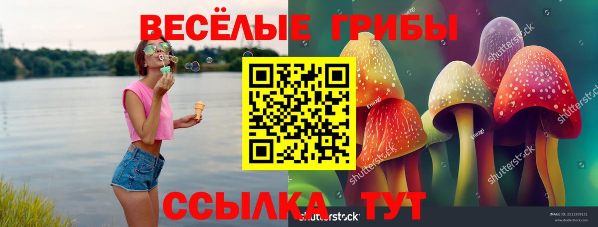 Галлюциногенные грибы мицелий Ессентуки
